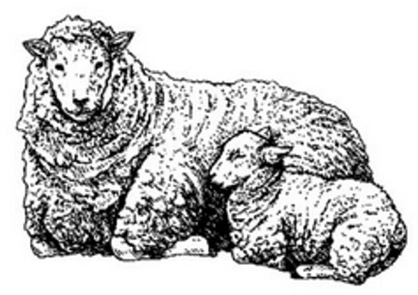 Peddlers Den Peddlers Den Stamp â€“ Ewe with Lamb P17-365D