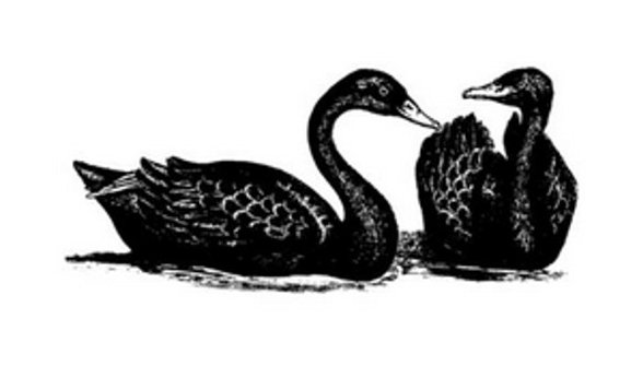 Peddlers Den Peddlers Den Stamp â€“ Black Swan Pair T15-325E