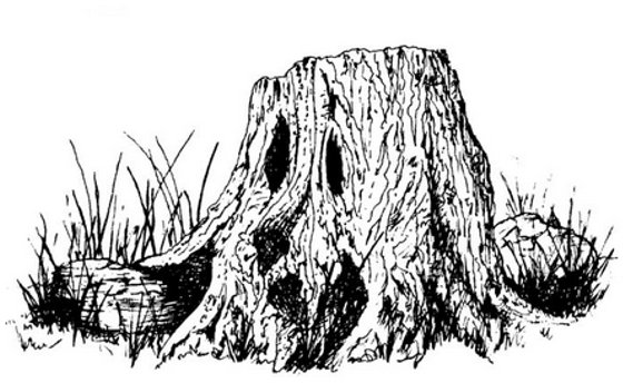 Peddlers Den Peddlers Den Stamp â€“ Wood Spirit Stump Facing Left T5-115D