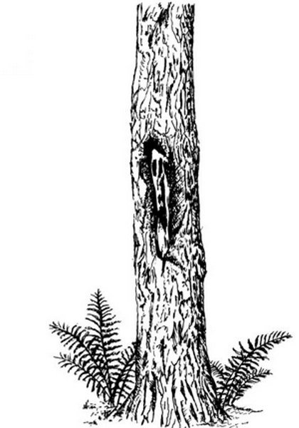 Peddlers Den Peddlers Den Stamp â€“ Tree Spirit with Ferns T5-117F