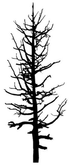 Peddlers Den Peddlers Den Stamp â€“ Dead Tree Tall T9-204F