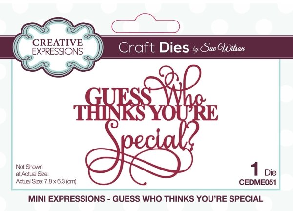 Creative Expressions Sue Wilson Mini Expressions Guess Who Thinks You're Special Craft Die