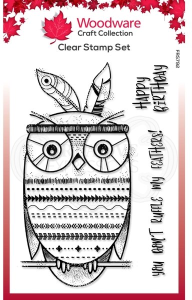 Woodware Woodware Clear Singles Bo-Hoot! 4 in x 6 in Stamp