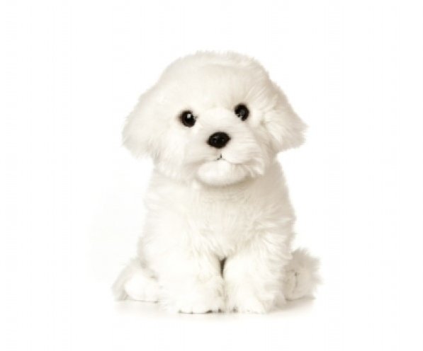 Living Nature Living Nature 20cm Maltese Puppy Dog Soft Toy Plush AN527
