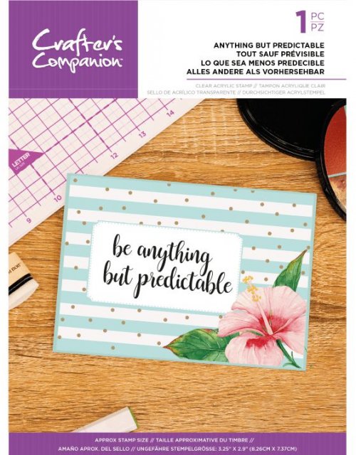 Crafter's Companion Crafter's Companion Quirky Sentiment Stamps - Anything but Predictable – 4 for £8.99