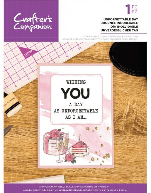 Crafter's Companion Crafter's Companion Quirky Sentiment Stamps - Unforgettable Day – 4 for £8.99