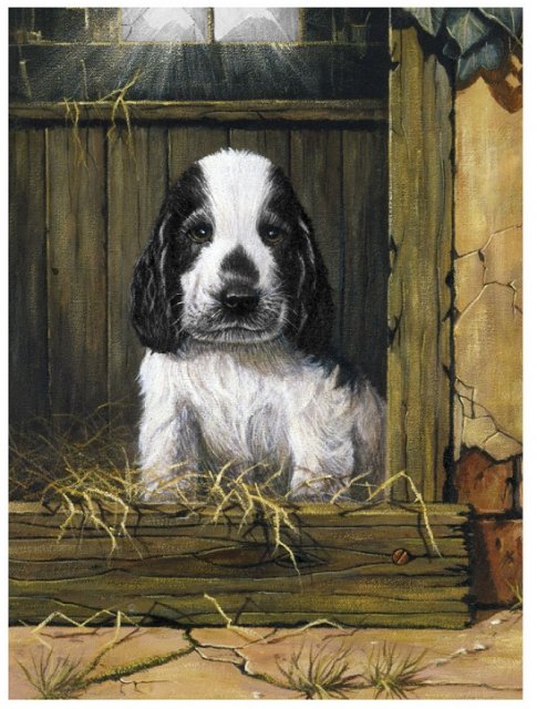 Royal & Langnickel Royal & Langnickel Painting By Numbers Spaniel Puppy A4 Art Kit