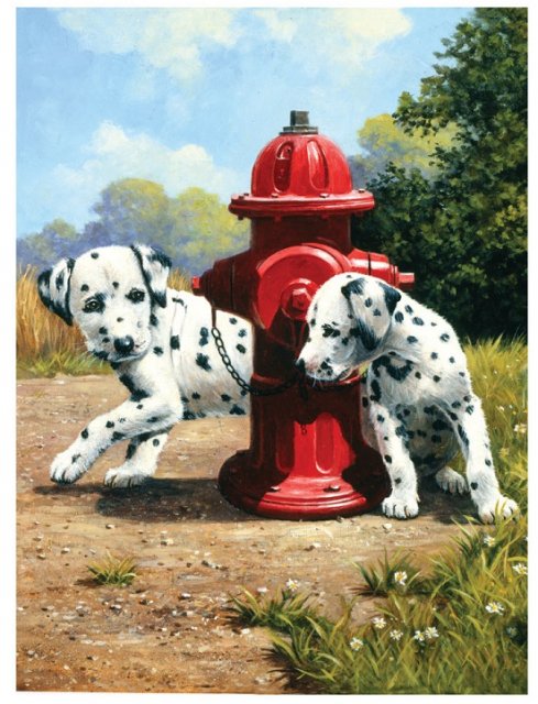 Royal & Langnickel Royal & Langnickel Painting By Numbers Peek A Boo Dogs A4 Art Kit