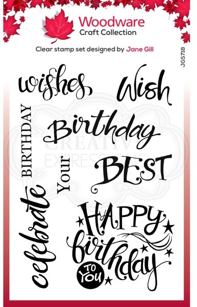 Woodware Woodware A Birthday Moment 4 in x 6 in Clear Stamp