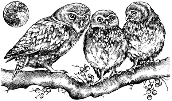 Crafty Individuals Crafty Individuals 'Owl Family' Red Rubber Stamp CI-513