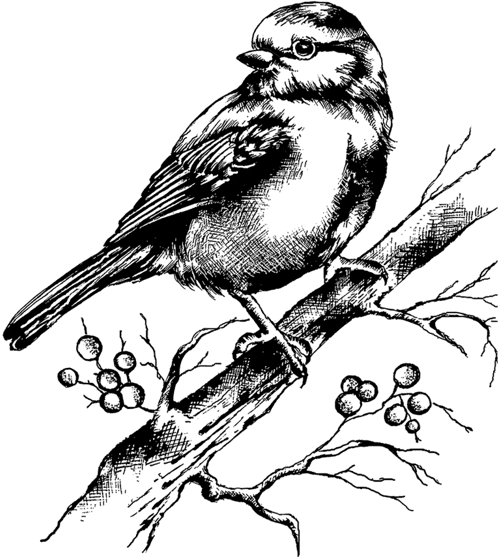 Crafty Individuals Crafty Individuals 'Bluebird with Branch and Berries' Red Rubber Stamp CI-505