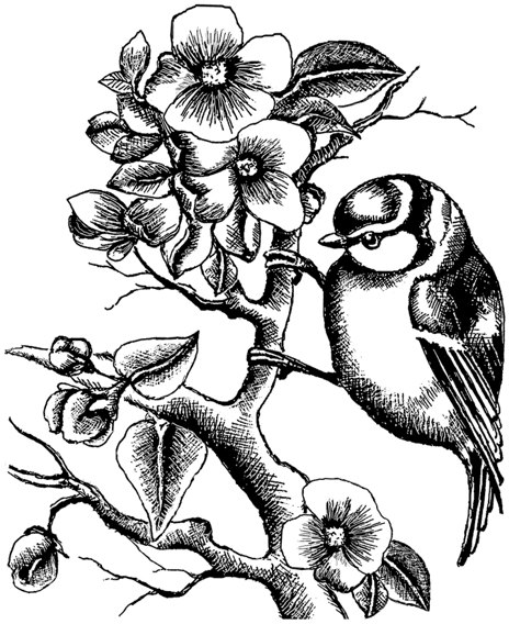 Crafty Individuals Crafty Individuals 'Little Bluebird amongst Blossoms' Red Rubber Stamp CI-506