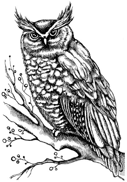Crafty Individuals Crafty Individuals 'Owl on Branch with Berries' Red Rubber Stamp CI-511