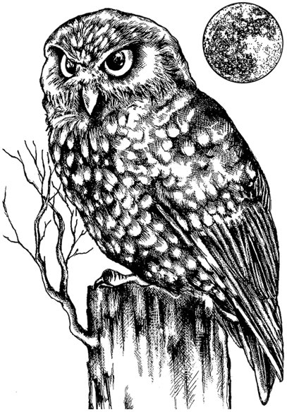 Crafty Individuals Crafty Individuals 'Owl and Moon' Red Rubber Stamp CI-512