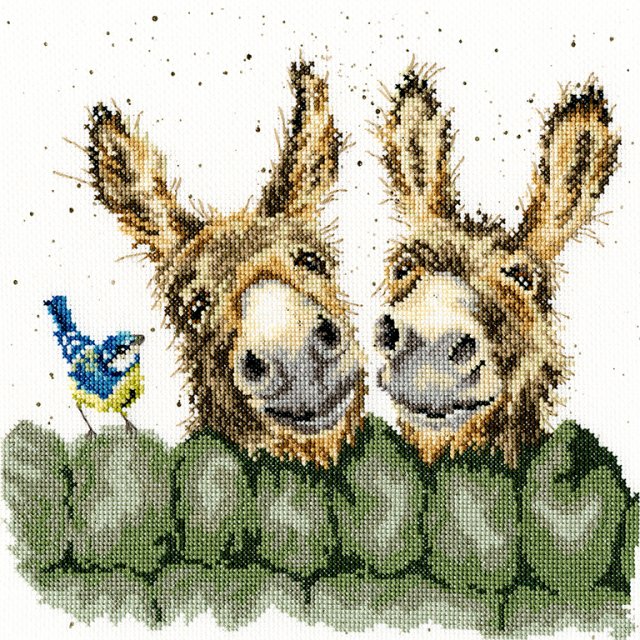 Bothy Threads Bothy Threads Hee Haw Hannah Dale Donkey Counted Cross Stitch Kit XHD70