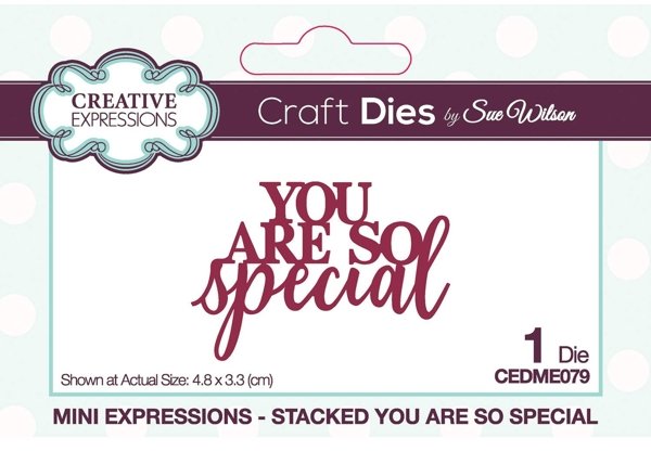 Creative Expressions Creative Expressions Sue Wilson Mini Expressions Stacked You Are So Special Craft Die