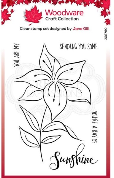 Woodware Woodware Clear Singles Lily Sketch 4 in x 6 in Stamp