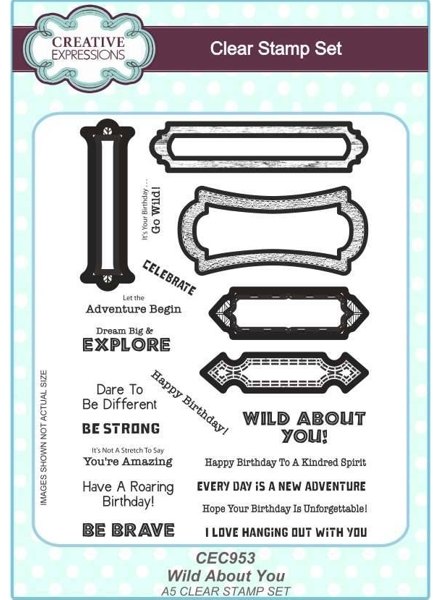 Creative Expressions Creative Expressions Wild About You A5 Clear Stamp Set Co-ords with CED4458