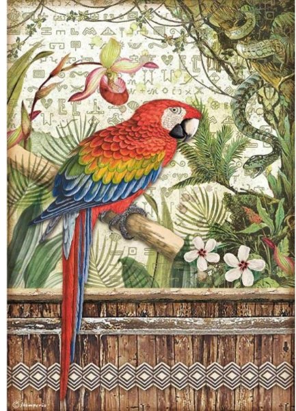 Stamperia Stamperia A4 Rice paper packed - Amazonia parrot DFSA4531– 5 for £9.99