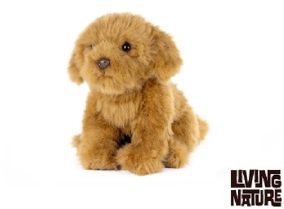 Living Nature Living Nature 20cm Cavapoo Soft Toy Dog Puppy AN631