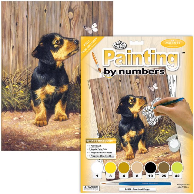 Royal & Langnickel Royal & Langnickel Painting By Numbers Dachshund Puppy A4 Art Kit