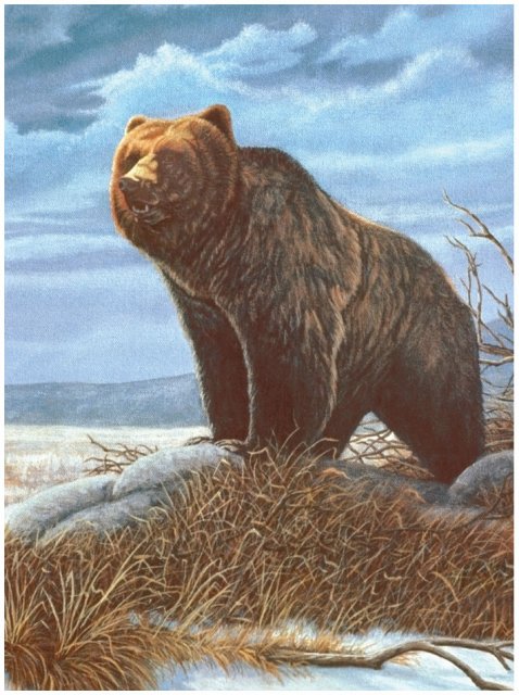 Royal & Langnickel Royal & Langnickel Painting By Numbers Grizzly Bear A4 Art Kit