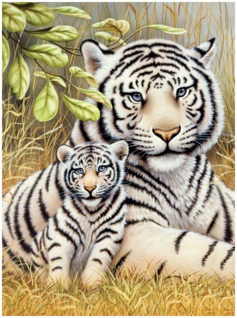 Royal & Langnickel Royal & Langnickel Painting By Numbers White Tiger Pair A4 Art Kit
