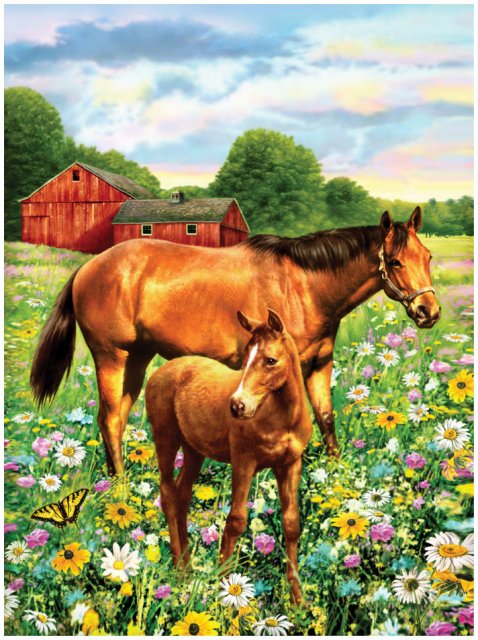 Royal & Langnickel Royal & Langnickel Painting By Numbers Horses In Field A4 Art Kit