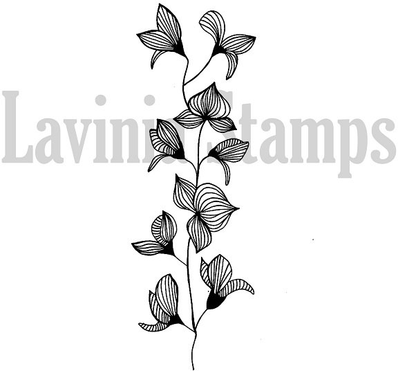 Lavinia Stamps Lavinia Stamps Orchid LAV060
