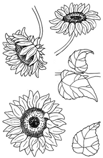 Jane's Doodles Jane's Doodles Clear Stamp - Sunflowers (JD029)