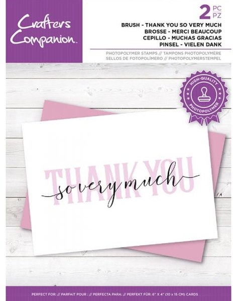 Crafter's Companion Crafters Companion Brush Lettering Stamp – Thank You So Very Much
