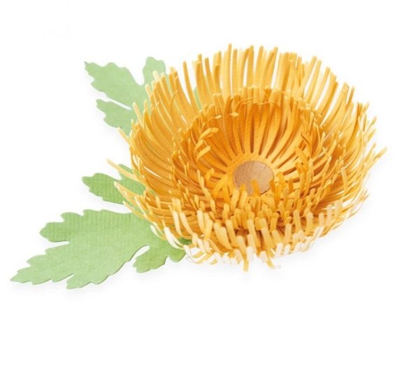 Sizzix Sizzix Thinlits Die Set 5PK - Chrysanthemum