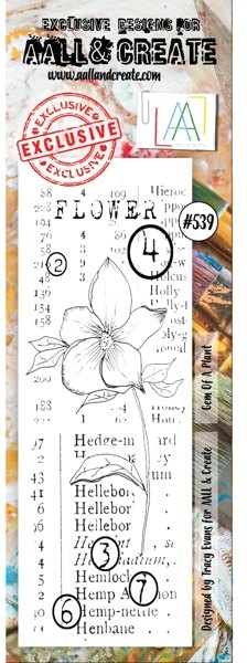 Aall & Create Aall & Create Border Stamp #539 - Gem of a Plant