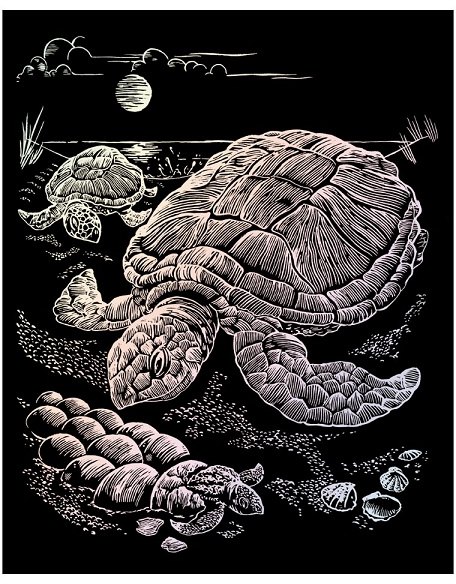 Royal & Langnickel Royal & Langnickel Engraving Scratch Art Holographic Foil Sea Turtle HOLO13-3T