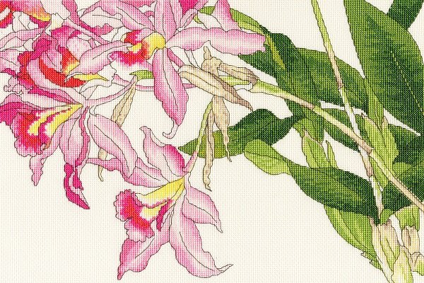 Bothy Threads Bothy Threads Orchid Blooms Counted Cross Stitch Kit XBD16