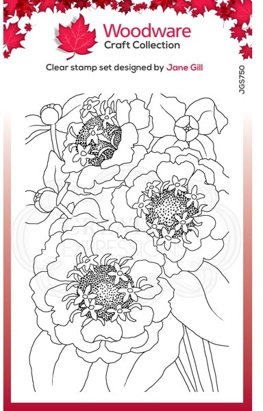 Woodware Woodware Clear Singles Zinnia 4 in x 6 in Stamp JGS750