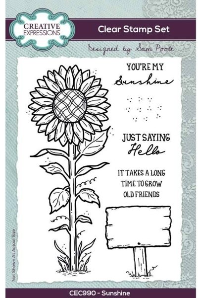 Creative Expressions Creative Expressions Sam Poole Sunshine 6 in x 4 in Clear Stamp Set