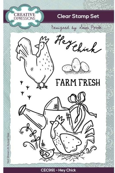 Creative Expressions Creative Expressions Sam Poole Hey Chick 6 in x 4 in Clear Stamp Set