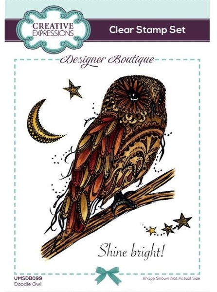Creative Expressions Creative Expressions Designer Boutique Doodle Owl 6 in x 4 in Clear Stamp Set
