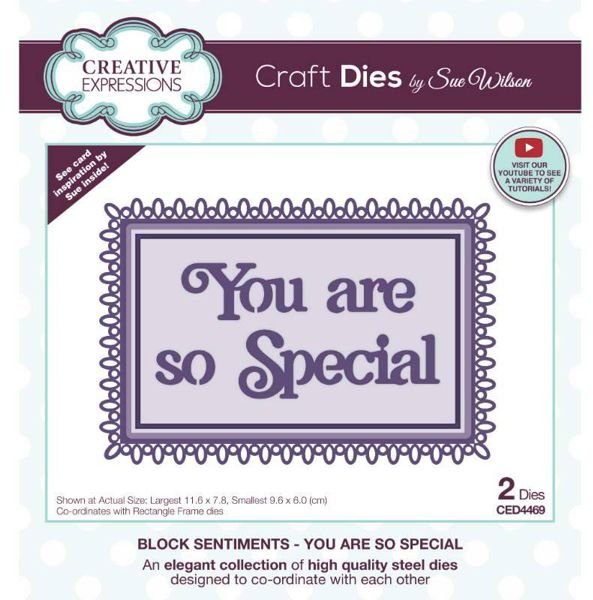 Creative Expressions Creative Expressions Sue Wilson Block Sentiments You Are So Special Craft Die
