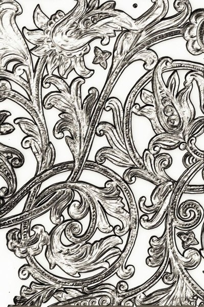 Sizzix Sizzix Entangled Embossing Folder by Tim Holtz 666155