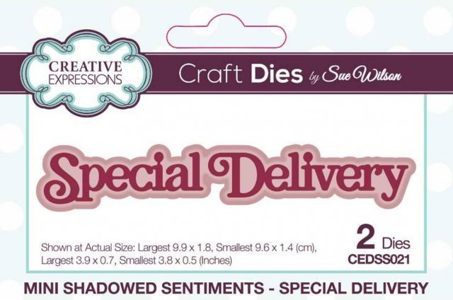 Creative Expressions Creative Expressions Sue Wilson Mini Shadowed Sentiments Special Delivery Craft Die