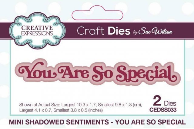 Creative Expressions Creative Expressions Sue Wilson Mini Shadowed Sentiments You Are So Special Craft Die