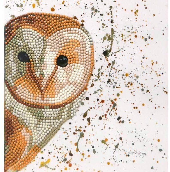 Creative Expressions Sparkle Art Bree Merryn Olive Owl Diamond Art Card Kit BMSA09
