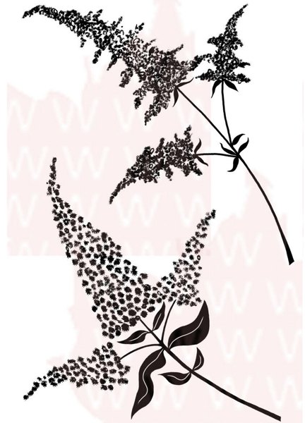 Woodware Woodware Sketchy Buddleia Clear Magic Stamp