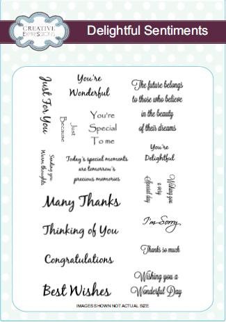 Creative Expressions Creative Expressions Delightful Sentiments A5 Clear Stamp Set