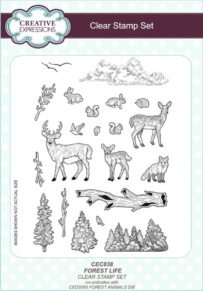 Creative Expressions Creative Expressions Sue Wilson Forest Life 2017 A5 Clear Stamp Set