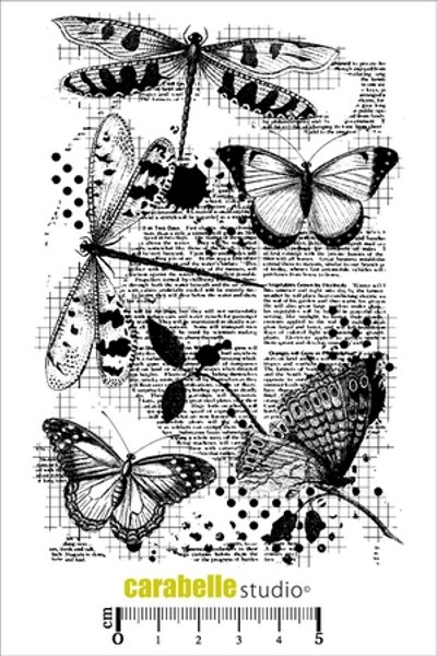 Carabelle Carabelle Studio Cling Stamp A6 : Libellules et Papillons