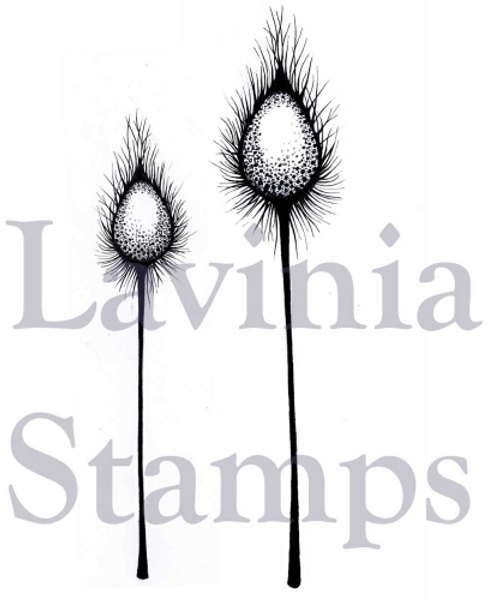 Lavinia Stamps Lavinia Stamps - Dragon Pods LAV374