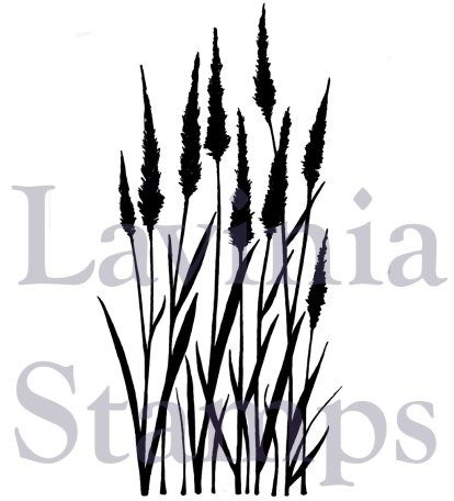 Lavinia Stamps Lavinia Stamps - Meadow Grass LAV387